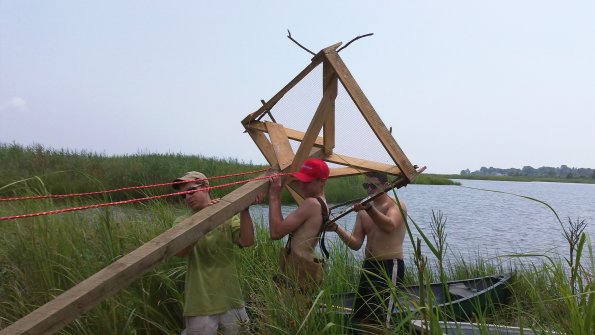 Eagle Scout Project-Osprey Nest